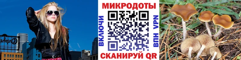 Купить  Ноябрьск  Галлюциногенные грибы Cubensis 